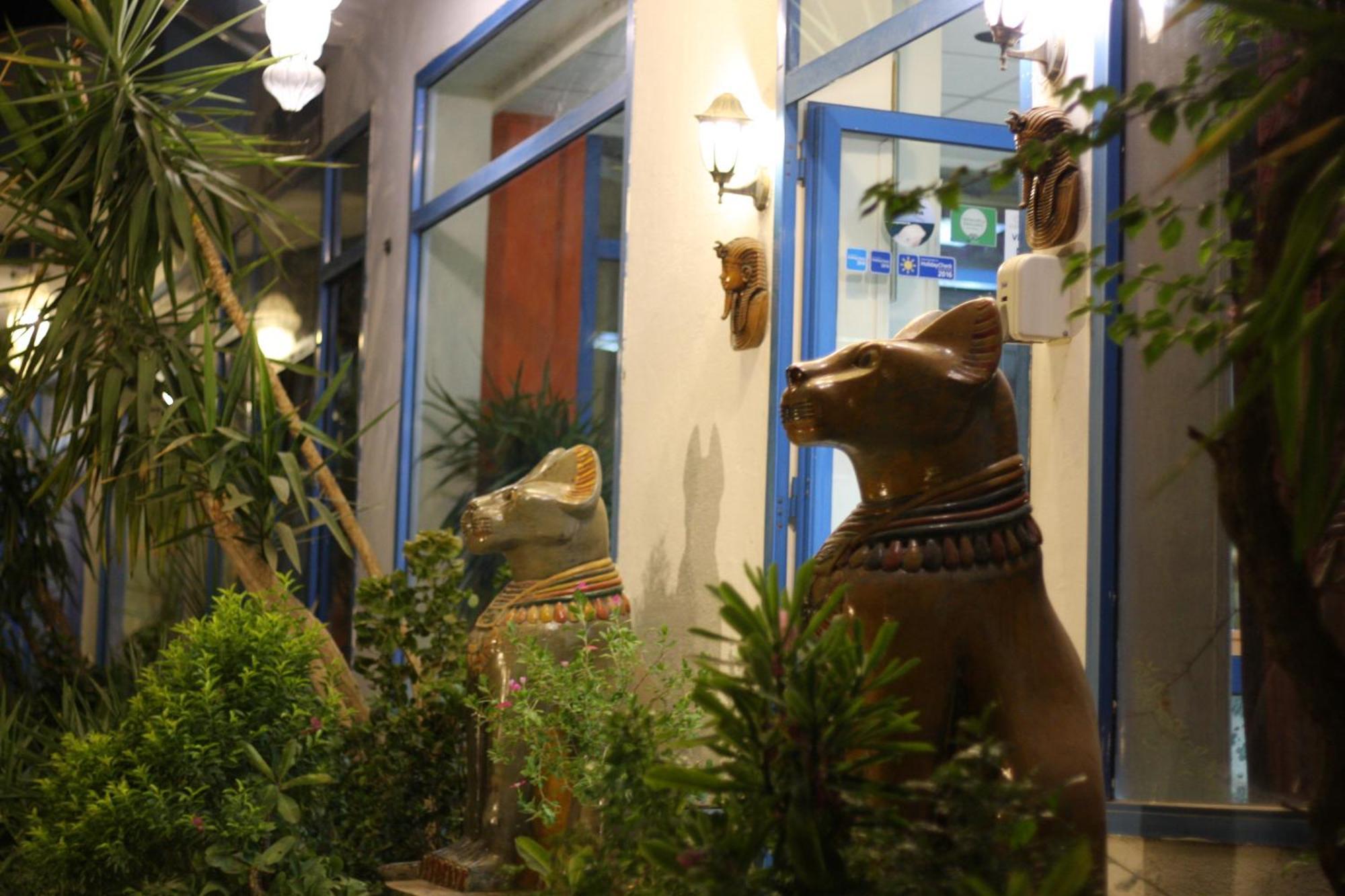 El Gezira Garden Hotel Luxor Exterior photo
